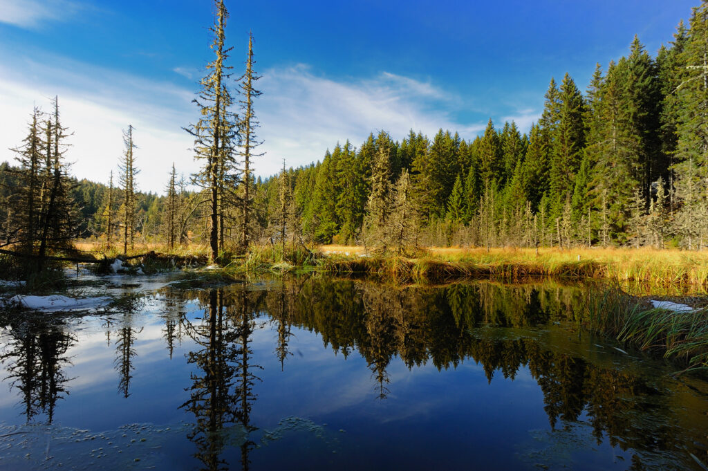 Aufmacher Weißensee - Foto Albert Ceolan (1)